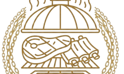 Gemini_Generated_Image_aio4a7aio4a7aio4-Picsart-BackgroundRemover